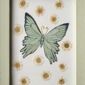 Sommerfugl mellem tusindfryd